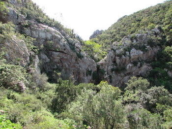 Woodbury Lodge Amakhala Game Reserve Exterior photo